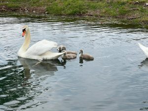 WhatsApp Image 2023-01-30 at 15.35.21