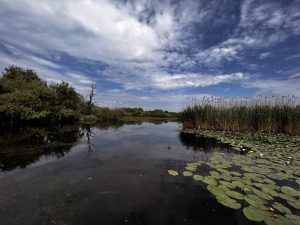 WhatsApp Image 2023-01-30 at 15.35.22 (1)