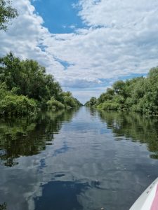 WhatsApp Image 2023-01-30 at 15.35.22